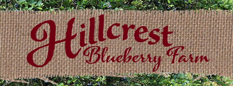 Hillcrest Blueberry Farm Logo on burlap background